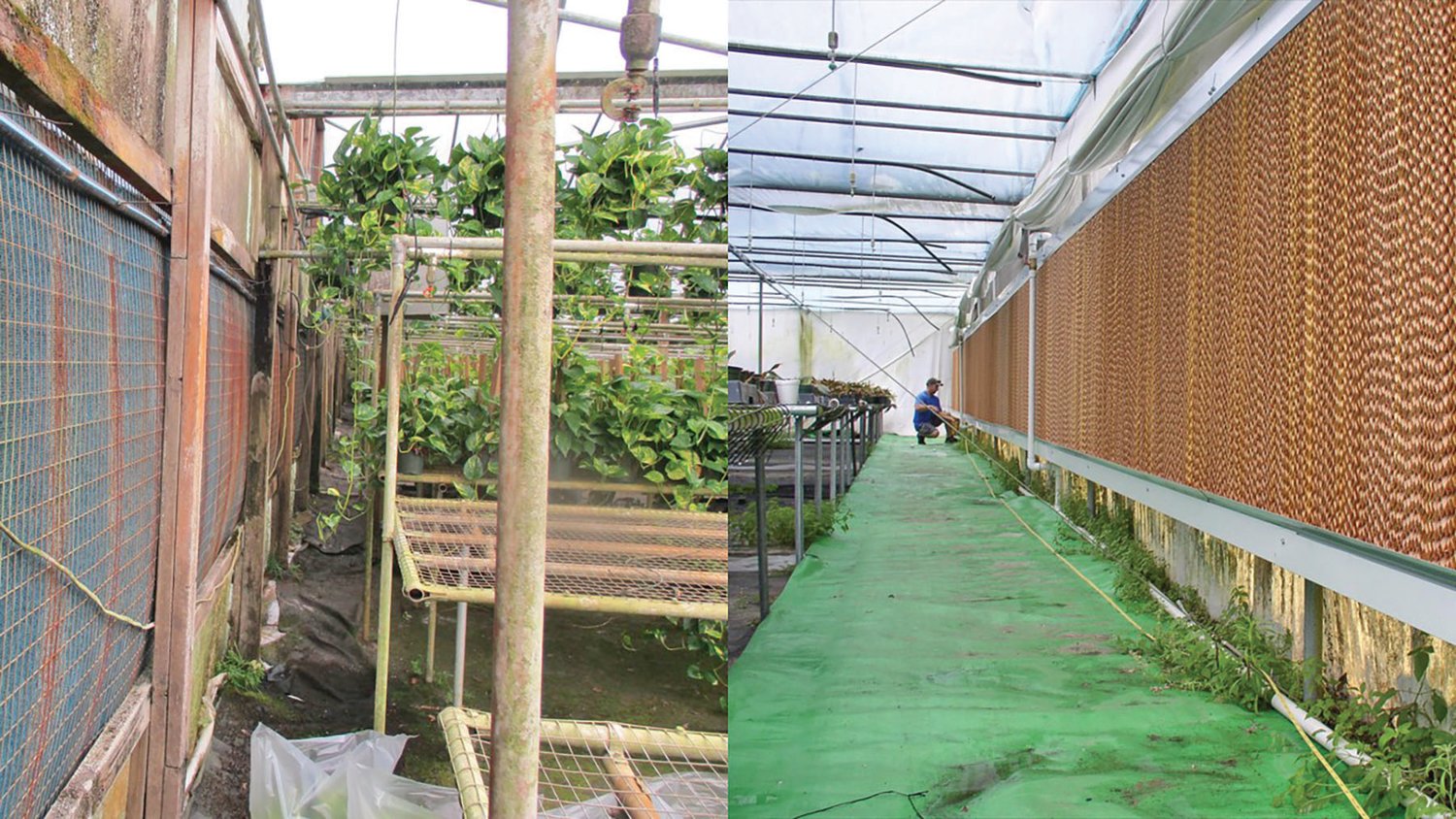 Picture on the left shows Conventional hog-hair evaporative cooling pad with no water recycling system. Picture on the right shows new, efficient cellulose evaporative cooling pad with water recycling system.